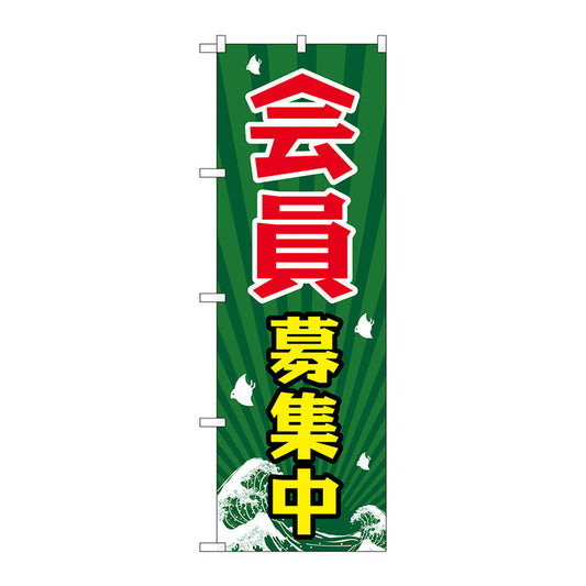 のぼり旗　会員募集中　Ｎｏ．ＧＮＢ－２２０５　Ｗ６００×Ｈ１８００