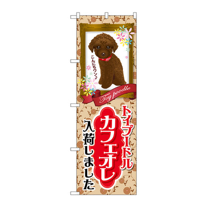 のぼり旗　トイプードル　カフェオレ　入荷　Ｎｏ．ＧＮＢ－２４５６　Ｗ６００×Ｈ１８００