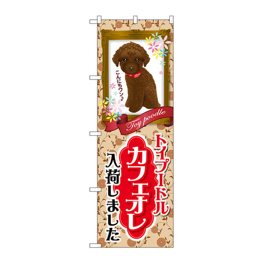 のぼり旗　トイプードル　カフェオレ　入荷　Ｎｏ．ＧＮＢ－２４５６　Ｗ６００×Ｈ１８００