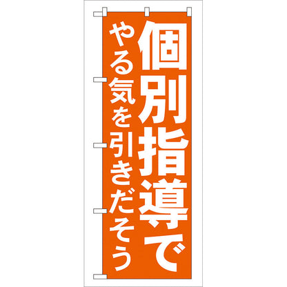 のぼり旗　個別指導でやる気を　Ｎｏ．ＧＮＢ－６０　Ｗ６００×Ｈ１８００