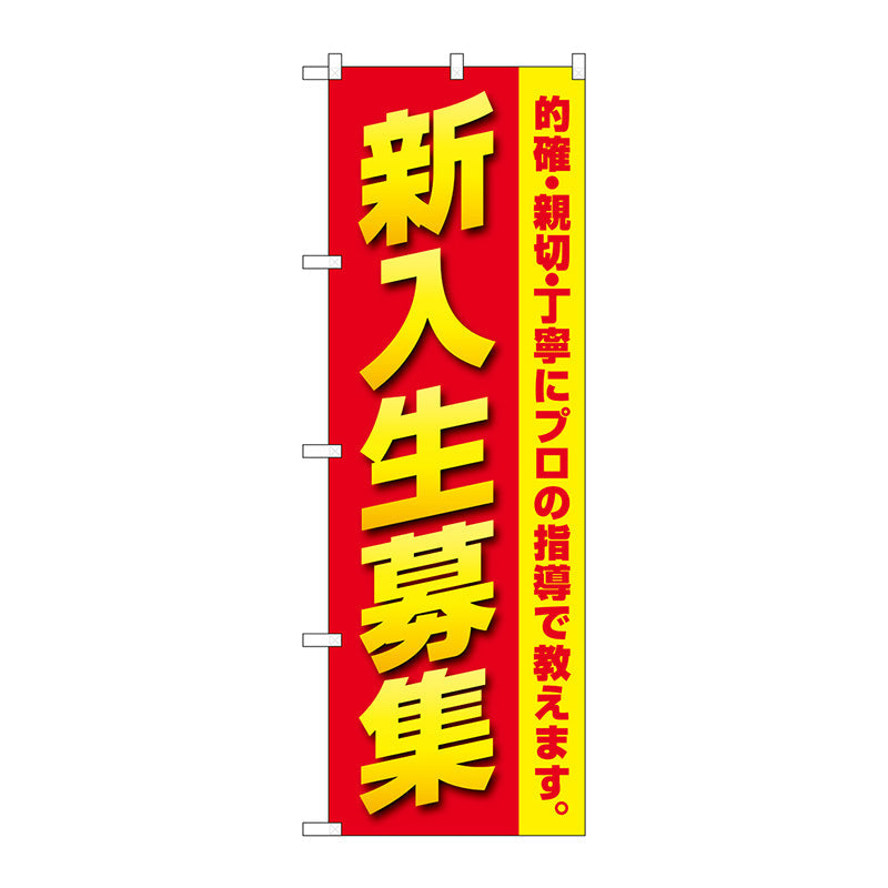 のぼり旗　新入生募集　プロの指導　Ｎｏ．ＧＮＢ－４２８５　Ｗ６００×Ｈ１８００