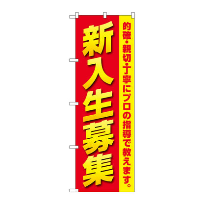 のぼり旗　新入生募集　プロの指導　Ｎｏ．ＧＮＢ－４２８５　Ｗ６００×Ｈ１８００