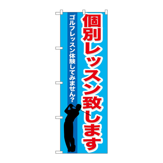 のぼり旗　個別レッスン致します　Ｎｏ．ＧＮＢ－５４２　Ｗ６００×Ｈ１８００