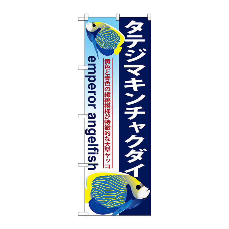 のぼり旗　タテジマキンチャクダイ　Ｎｏ．ＧＮＢ－５７８　Ｗ６００×Ｈ１８００
