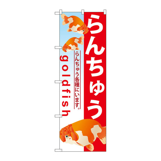 のぼり旗　らんちゅう　Ｎｏ．ＧＮＢ－５８３　Ｗ６００×Ｈ１８００