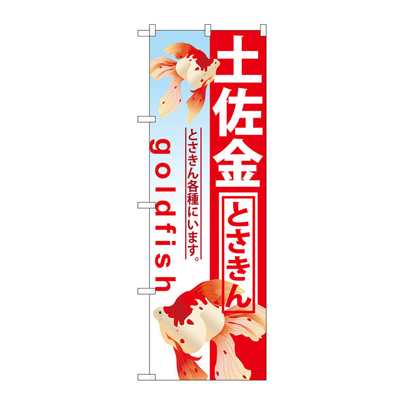 のぼり旗　土佐金　Ｎｏ．ＧＮＢ－５８６　Ｗ６００×Ｈ１８００