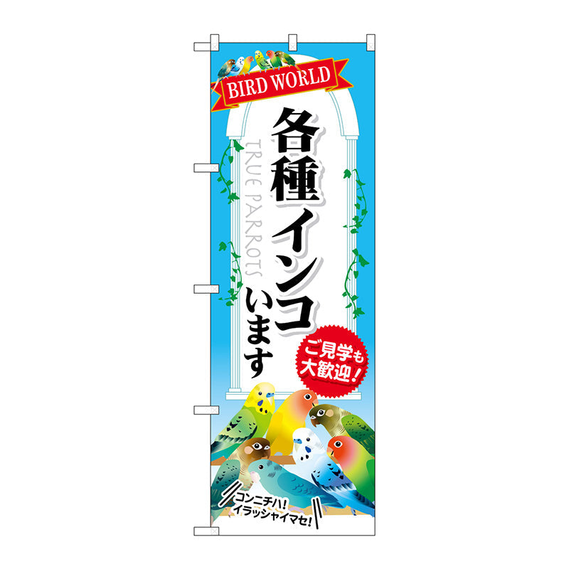 のぼり旗　各種インコいます　Ｎｏ．ＧＮＢ－６０９　Ｗ６００×Ｈ１８００