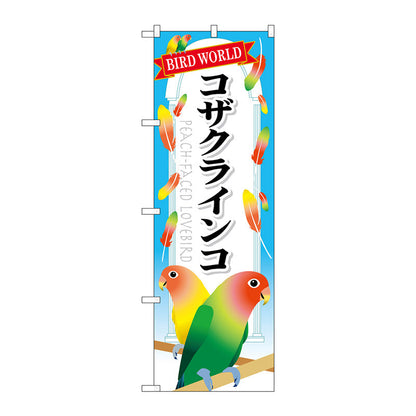 のぼり旗　コザクラインコ　Ｎｏ．ＧＮＢ－６１５　Ｗ６００×Ｈ１８００