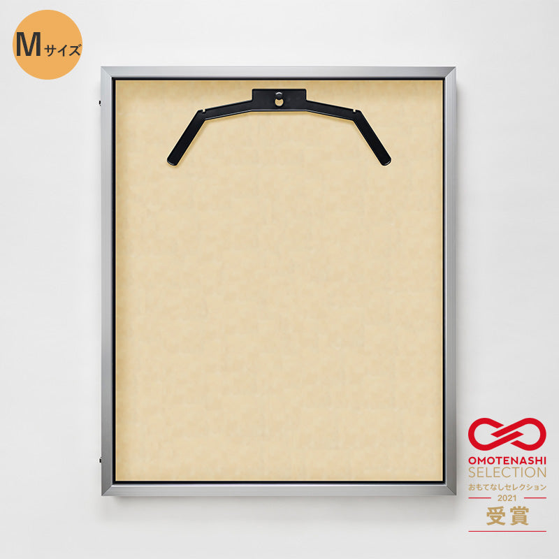 series-uniform-case-13