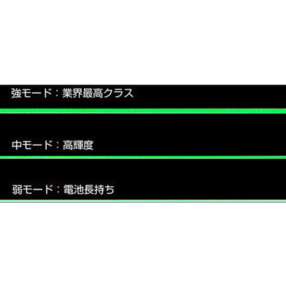 KDS 電子整備ﾘｱﾙｸﾞﾘｰﾝﾚｰｻﾞｰ IP66 ﾌﾙﾗｲﾝ