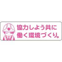 series-safety-helmet-sticker-variation