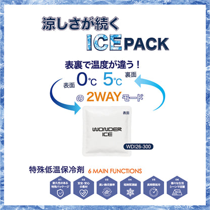 ワンダーアイス　WONDER ICE　特殊低温保冷剤　３００ｇ
