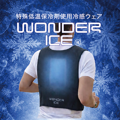 ワンダーアイス　WONDER ICE 特殊低温保冷剤　５００ｇ