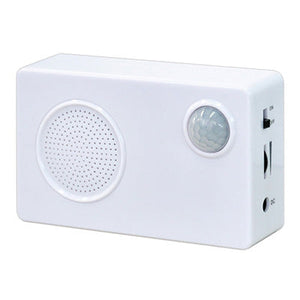 ＴＯＯＬＳ　音声ＰＯＰ　内蔵メモリー付　ＡＡＡ２０００