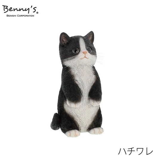動物オブジェ　ベニーズキャット（立っち）ハチワレ