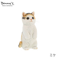 series-animal-object-stand-up