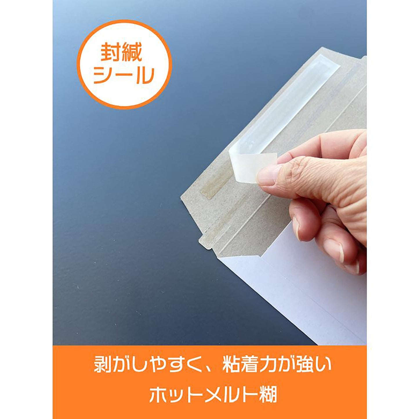 厚紙封筒　Ａ５・ＤＶＤ　エコノミータイプ　コートボール紙　２５０ｇ／㎡　１箱５００枚入り