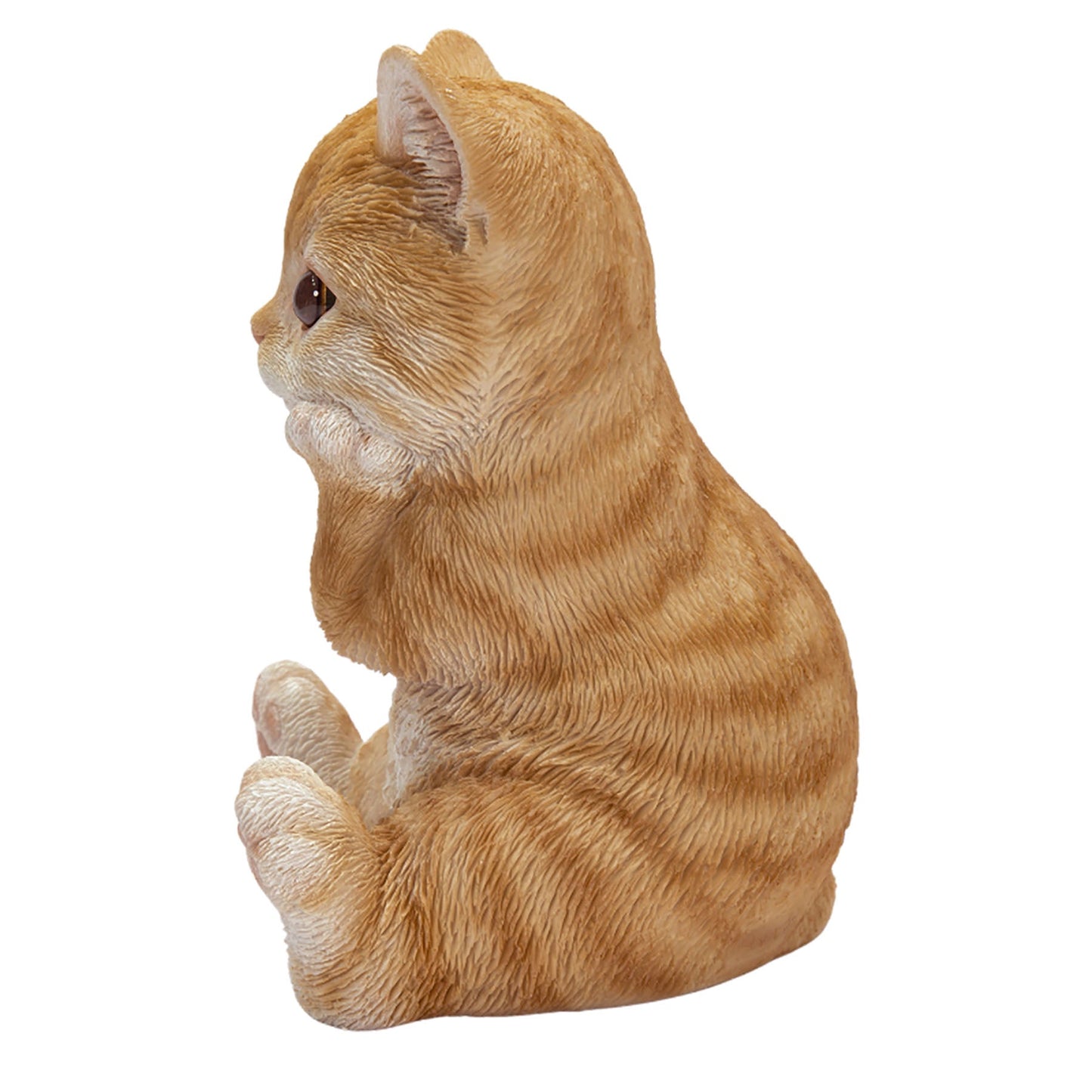 頬杖をつく茶トラ猫