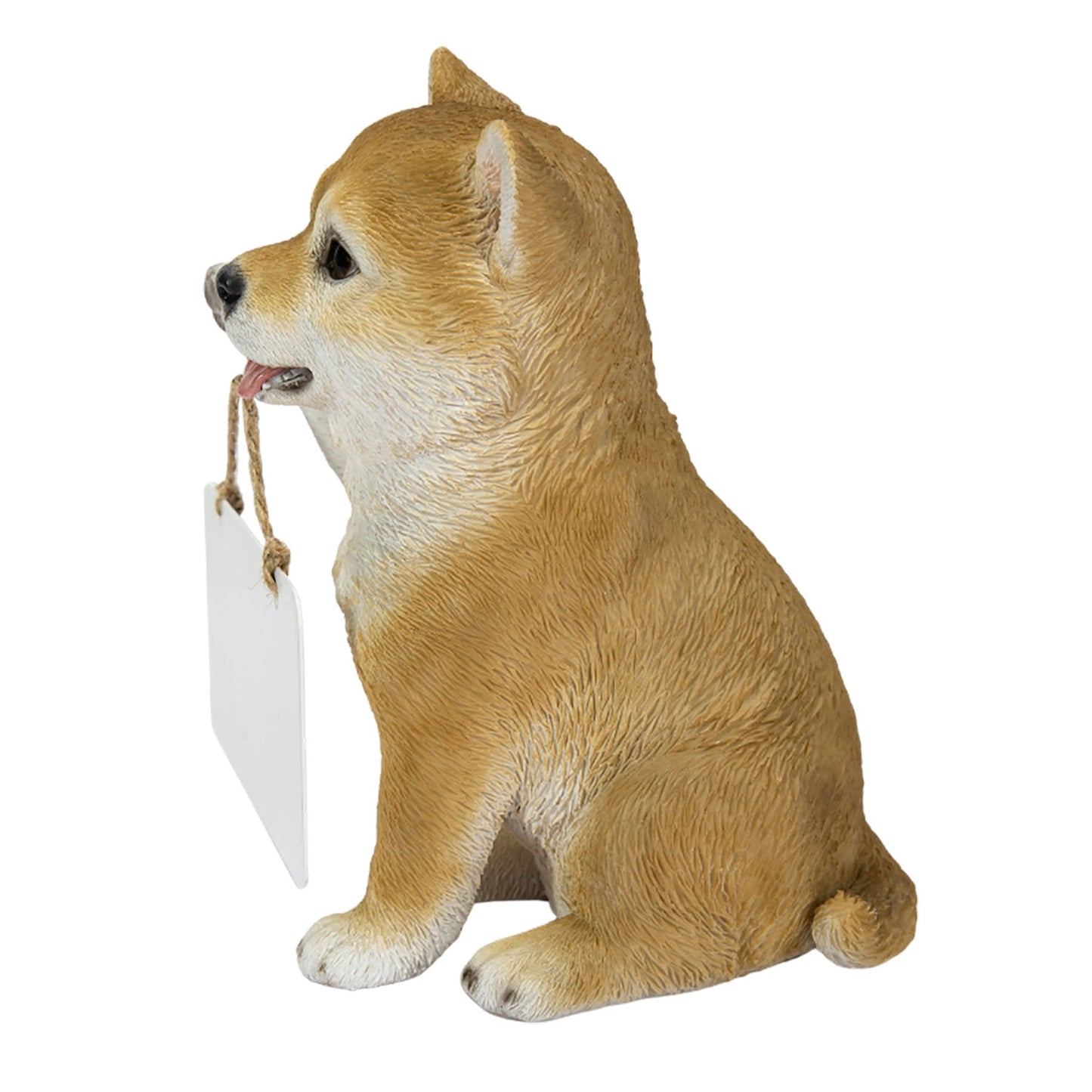 右手でボードを持つ柴犬