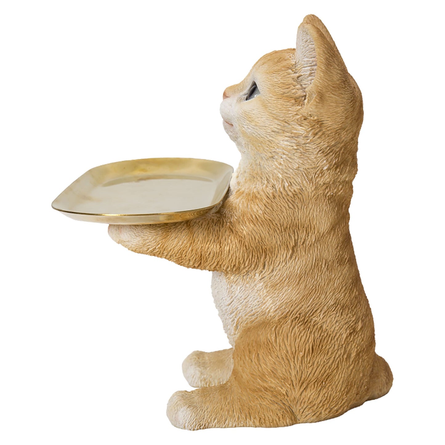 茶トラ猫の小物置き（マグネットで取り外し可能皿）