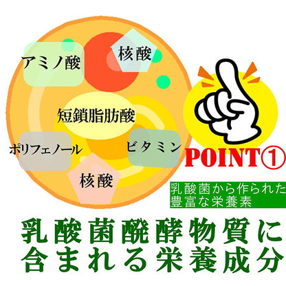 乳酸菌発酵物質　癒友輝　腸活　善玉菌　乳酸菌発酵エキス　腸内環境　１．５ｇ×１１５包