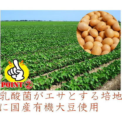 乳酸菌発酵物質　癒友輝　腸活　善玉菌　乳酸菌発酵エキス　腸内環境　粉末　３３０ｇ