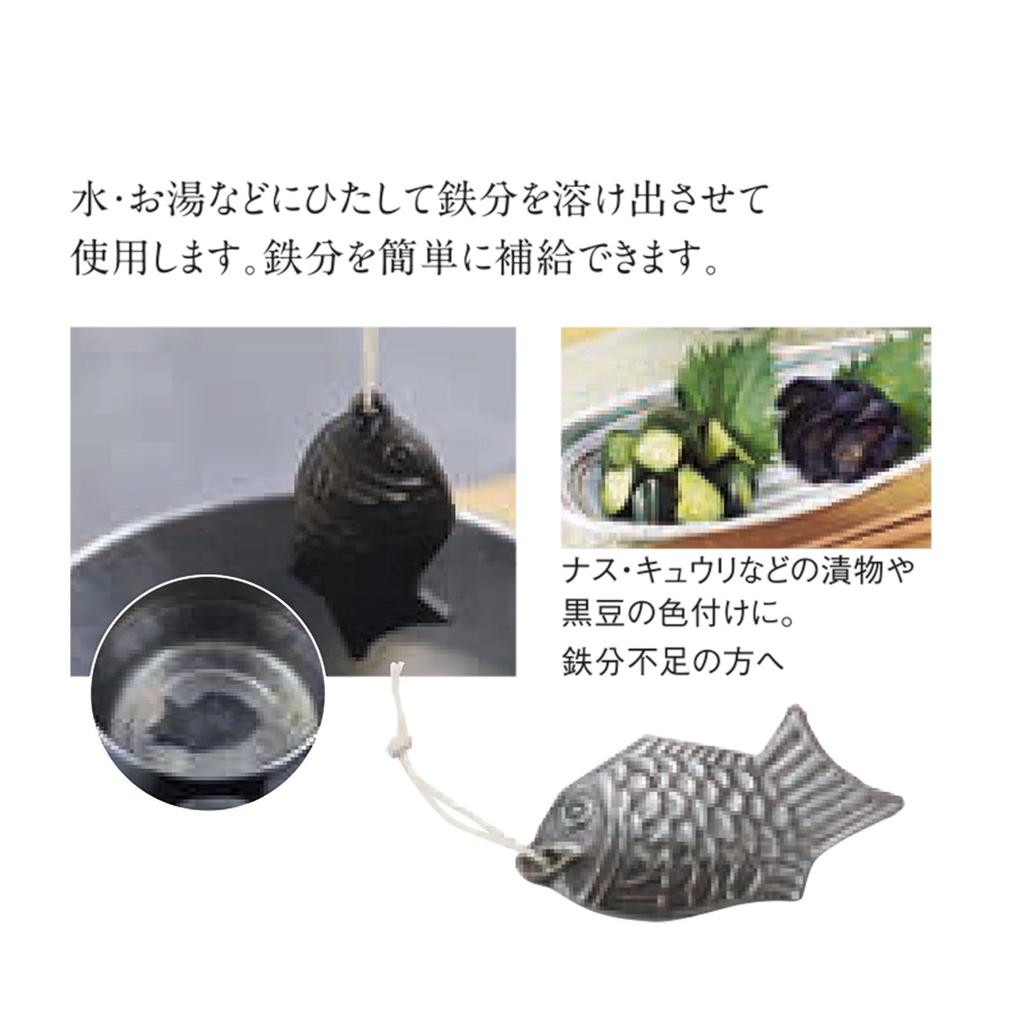 鉄の健康鯛