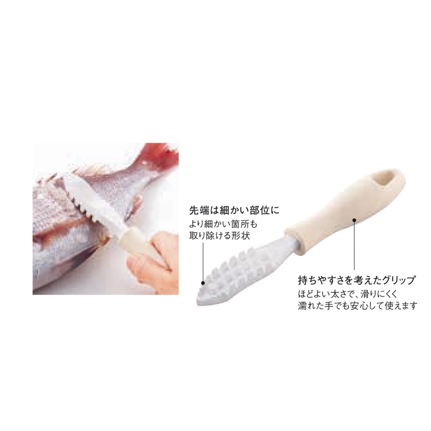 セラミックうろこ取り