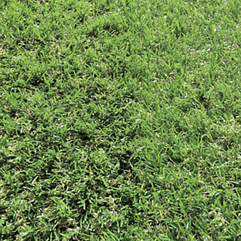 series-baron-artificial-turf