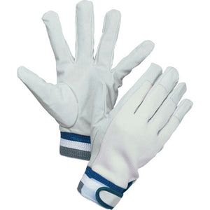 南国甲メリクレストマジック　Ｌ　４０１Ｗ－Ｌ