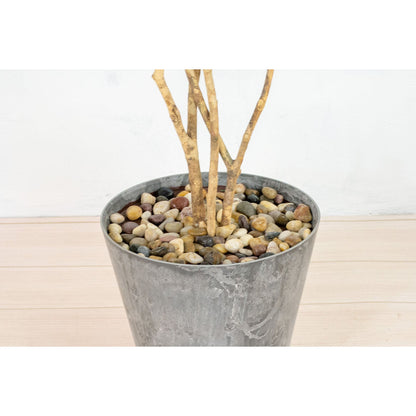 人工樹木／人工観葉植物　シェフレラ