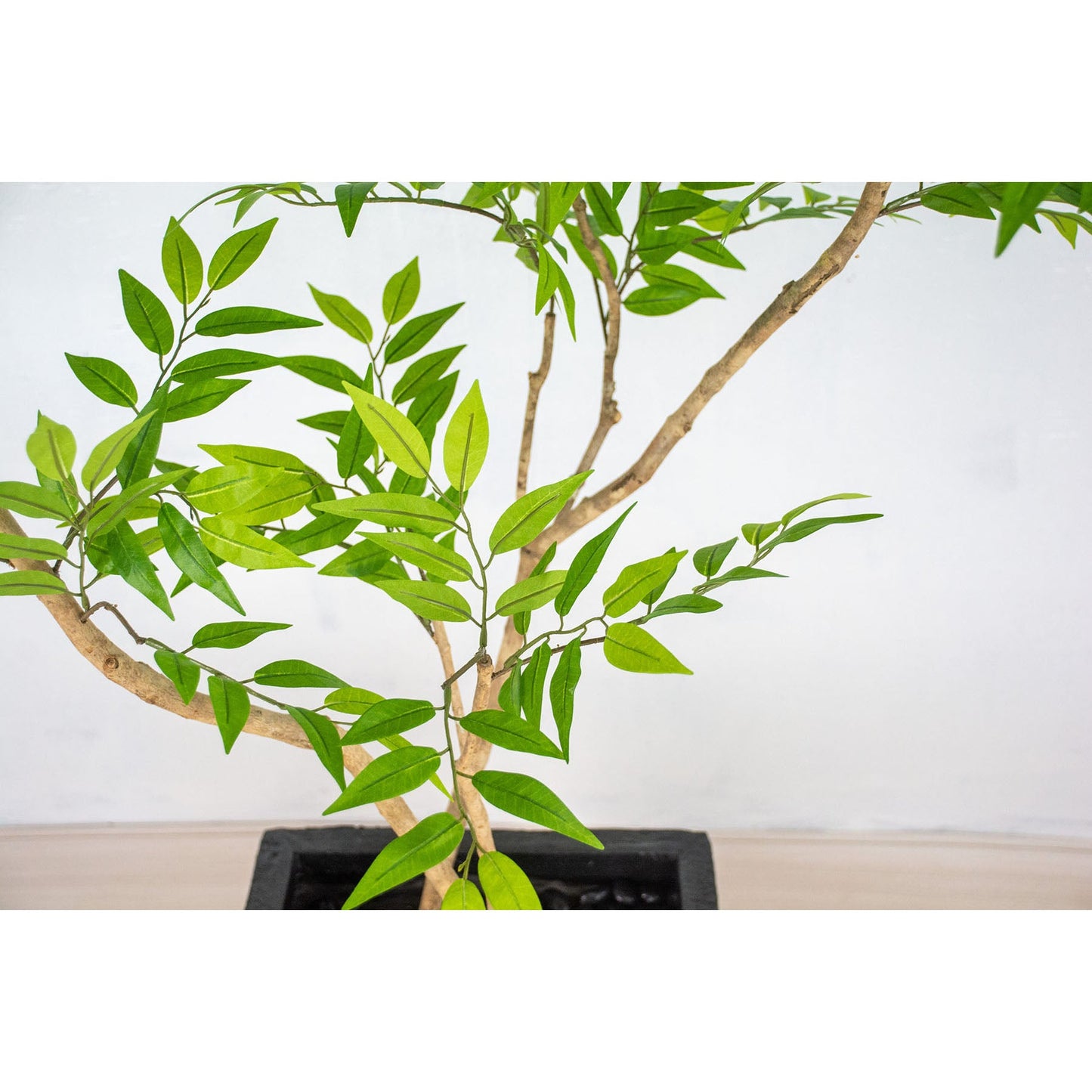 人工樹木／人工観葉植物　フランスベンジャミン