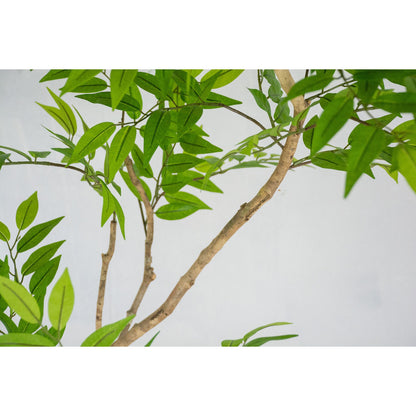 人工樹木／人工観葉植物　フランスベンジャミン