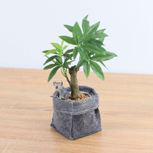 コーヒーノキフェルトポットコアラ　全長２９ｃｍ