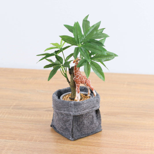 コーヒーノキフェルトポットキリン　全長２９ｃｍ