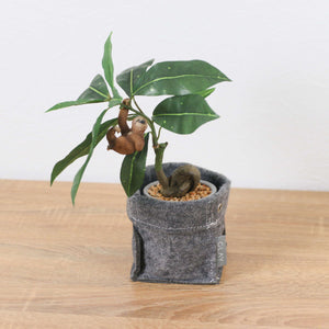 パキラフェルトポットナマケモノ　全長３２ｃｍ