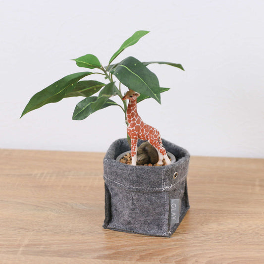 パキラフェルトポットキリン　全長３２ｃｍ
