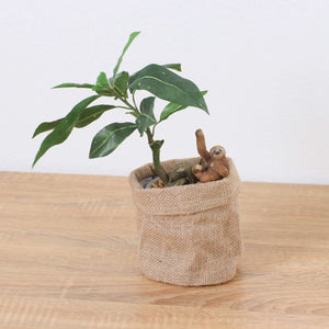 パキラアサポットナマケモノ　全長３２ｃｍ