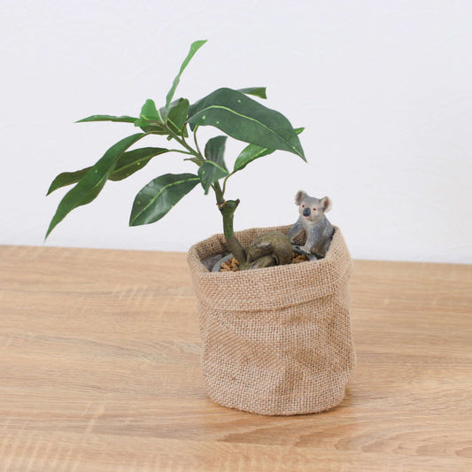 パキラアサポットコアラ　全長３２ｃｍ