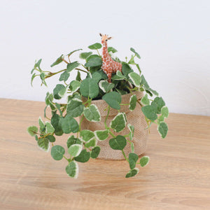 プミラアサポットキリン　全長２４ｃｍ