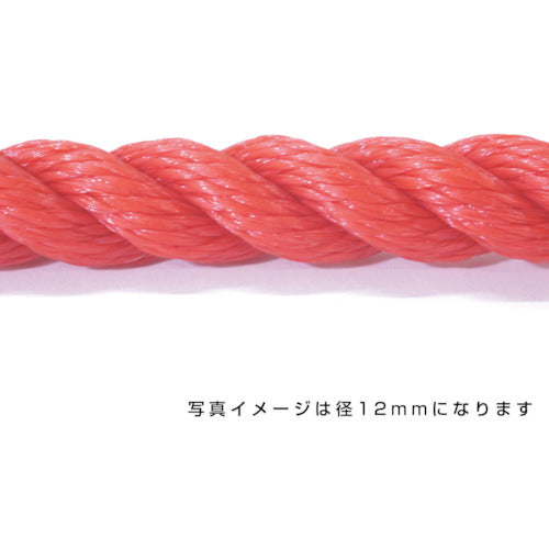 ポリエチレンロープ　赤　１２ｍｍ　２００ｍ巻