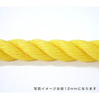 series-poly-rope-06
