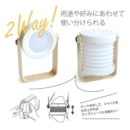 ＯＰＴ　ランタン／グレー