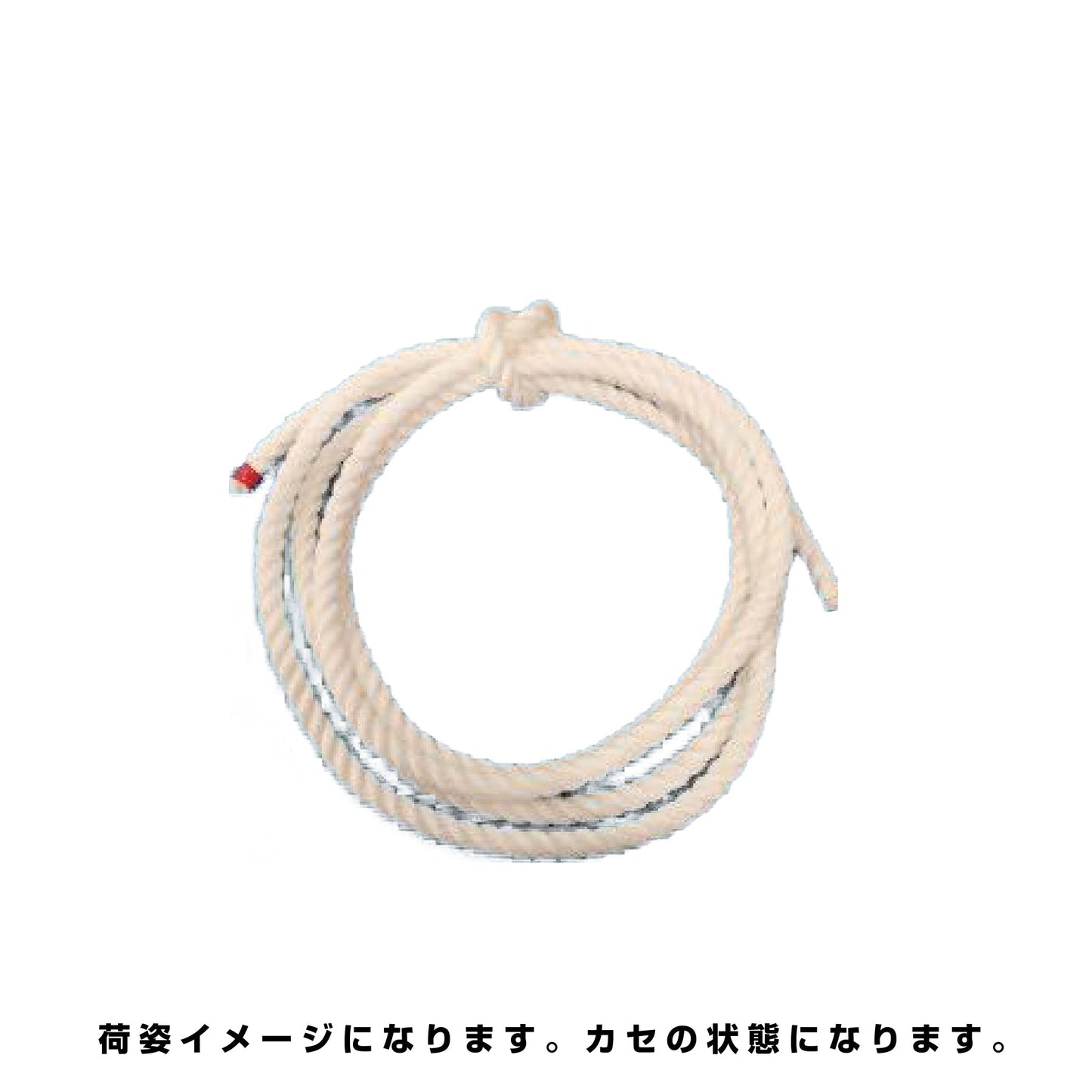 クレモナＳロープ　白　１０ｍｍ　３８ｍ
