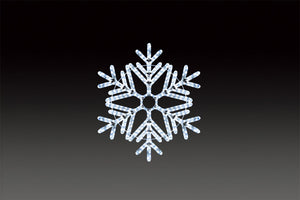 スノーフローラ（中）