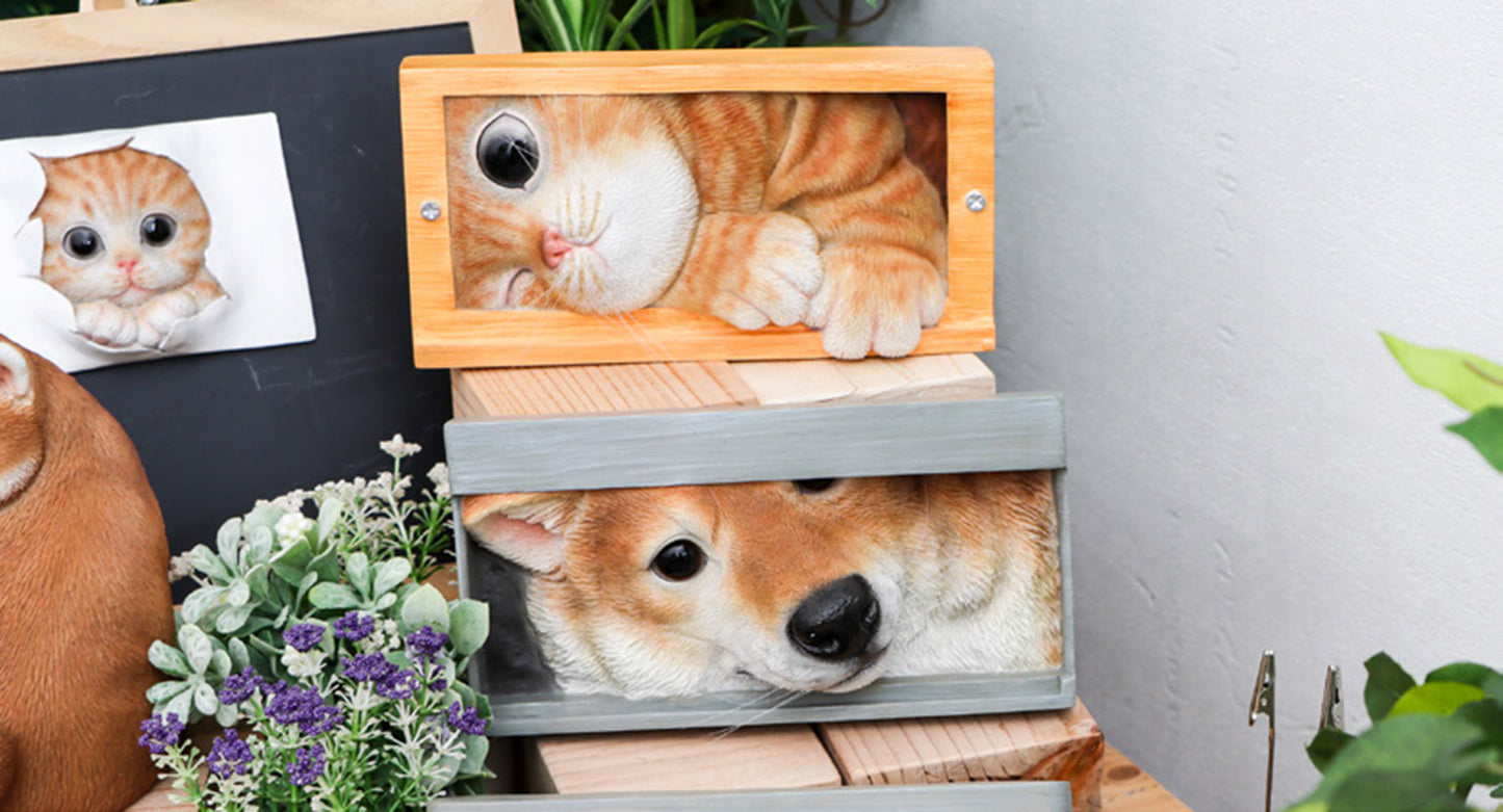 いたずらねこ　ＱＢ－００２Ｙ