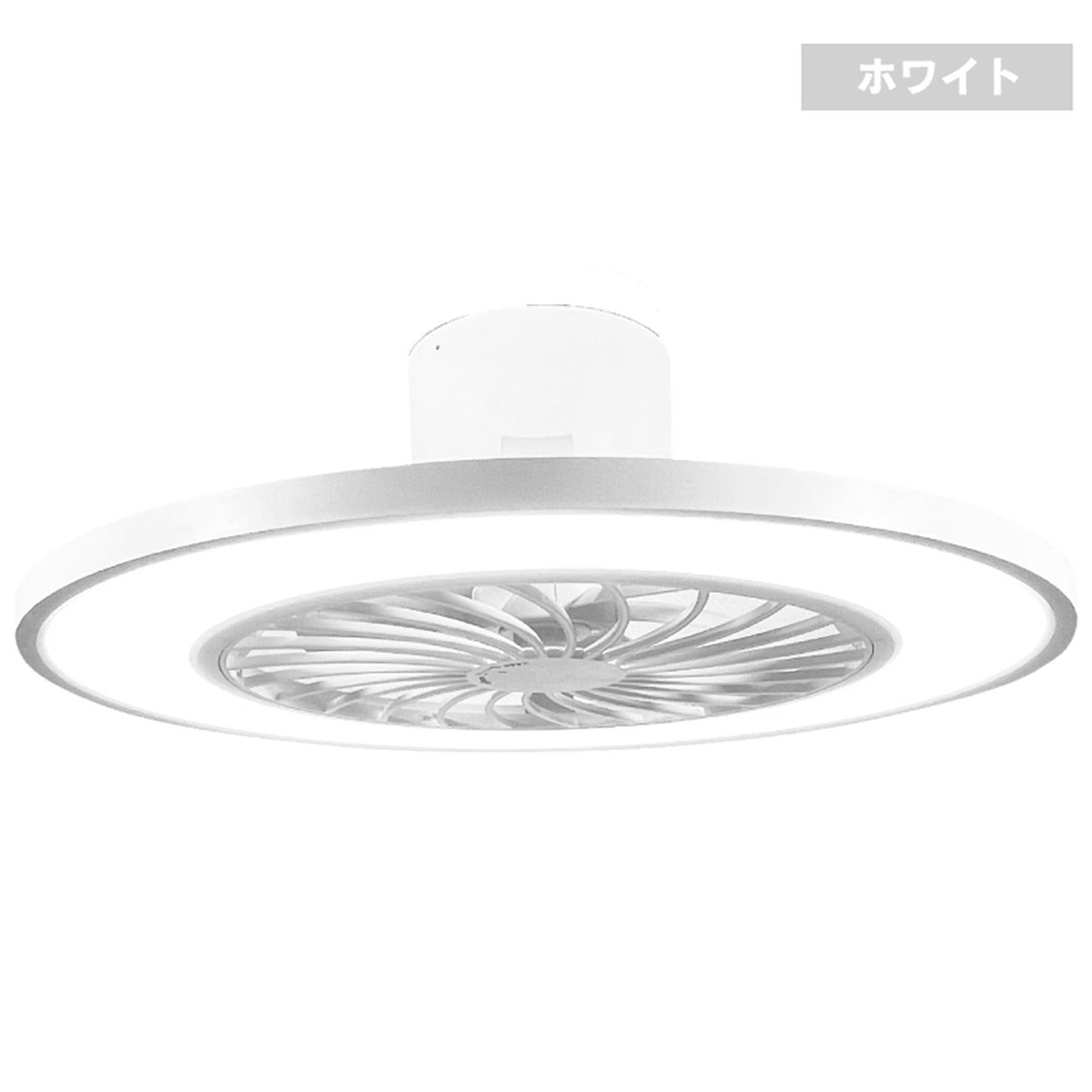 シーリングファンライト　ホワイト１０畳用　