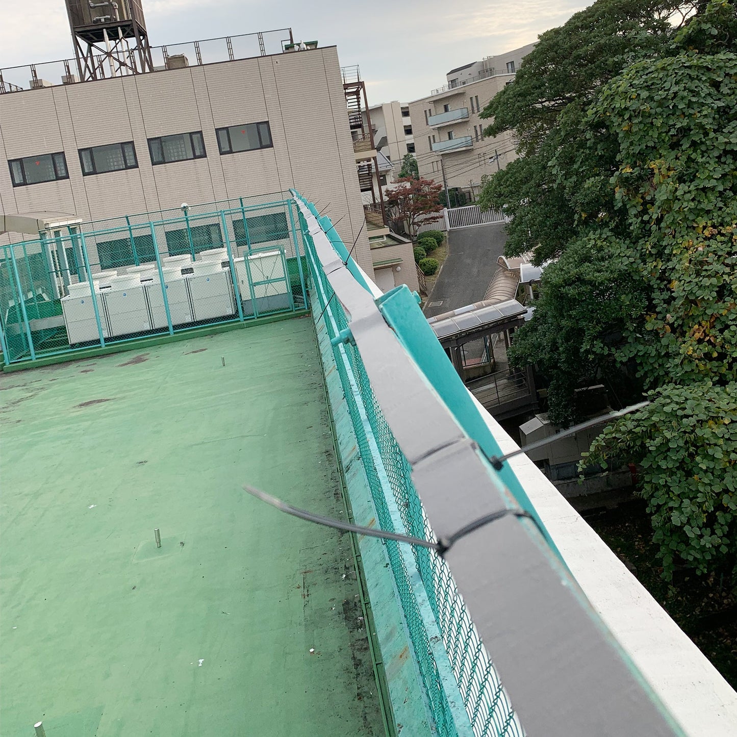 鳥さん避けテク　シート　５０cm角