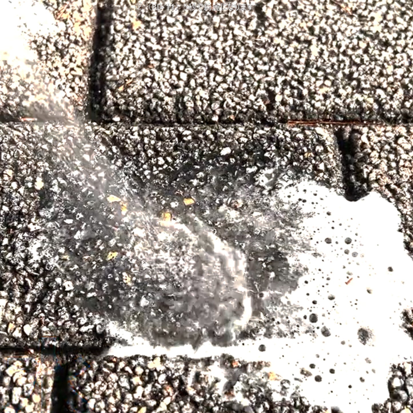 鳥さん避けテク　クリーナー２７０ml