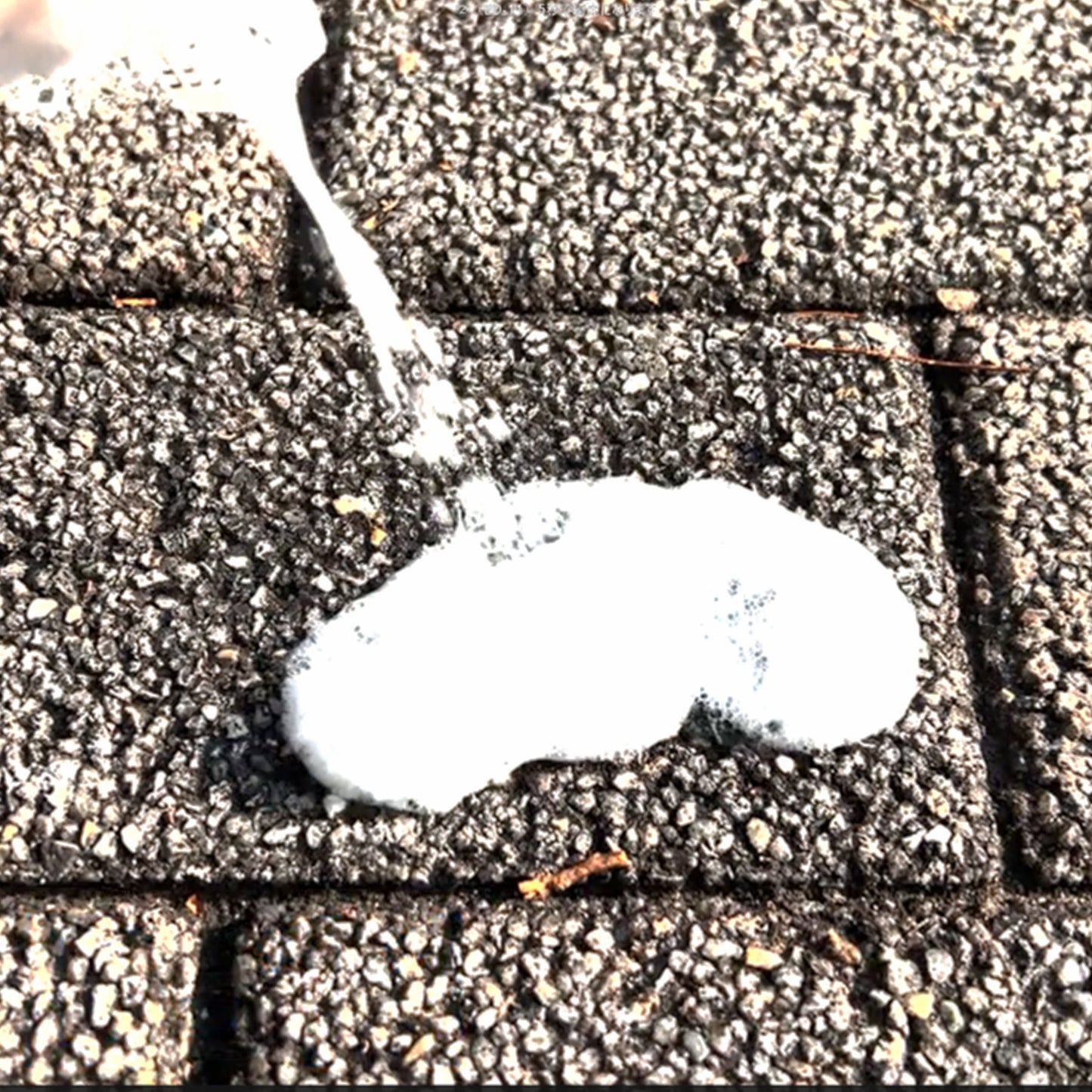 鳥さん避けテク　クリーナー５００ml